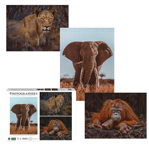 Photographers Collection: Elephant, Lioness, Orangutan: 3 x 1000pc Puzzle Bundle