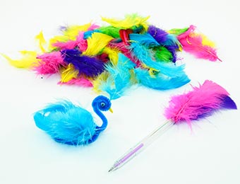 Collage Feathers 20gm