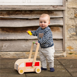 Delivery Baby Walker with Blocks 39pc