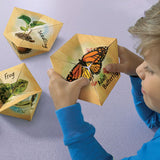 LifeCyclers™ Butterfly, Frog and Plant - iPlayiLearn.co.za
 - 2