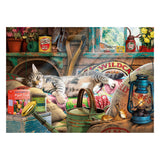 Gibsons - Snoozing in the Shed Jigsaw Puzzle 1000pc