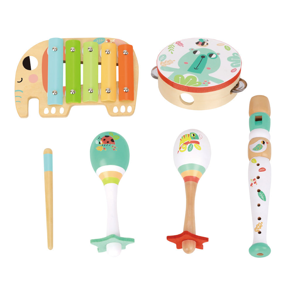 Musical Instrument Set 6pc