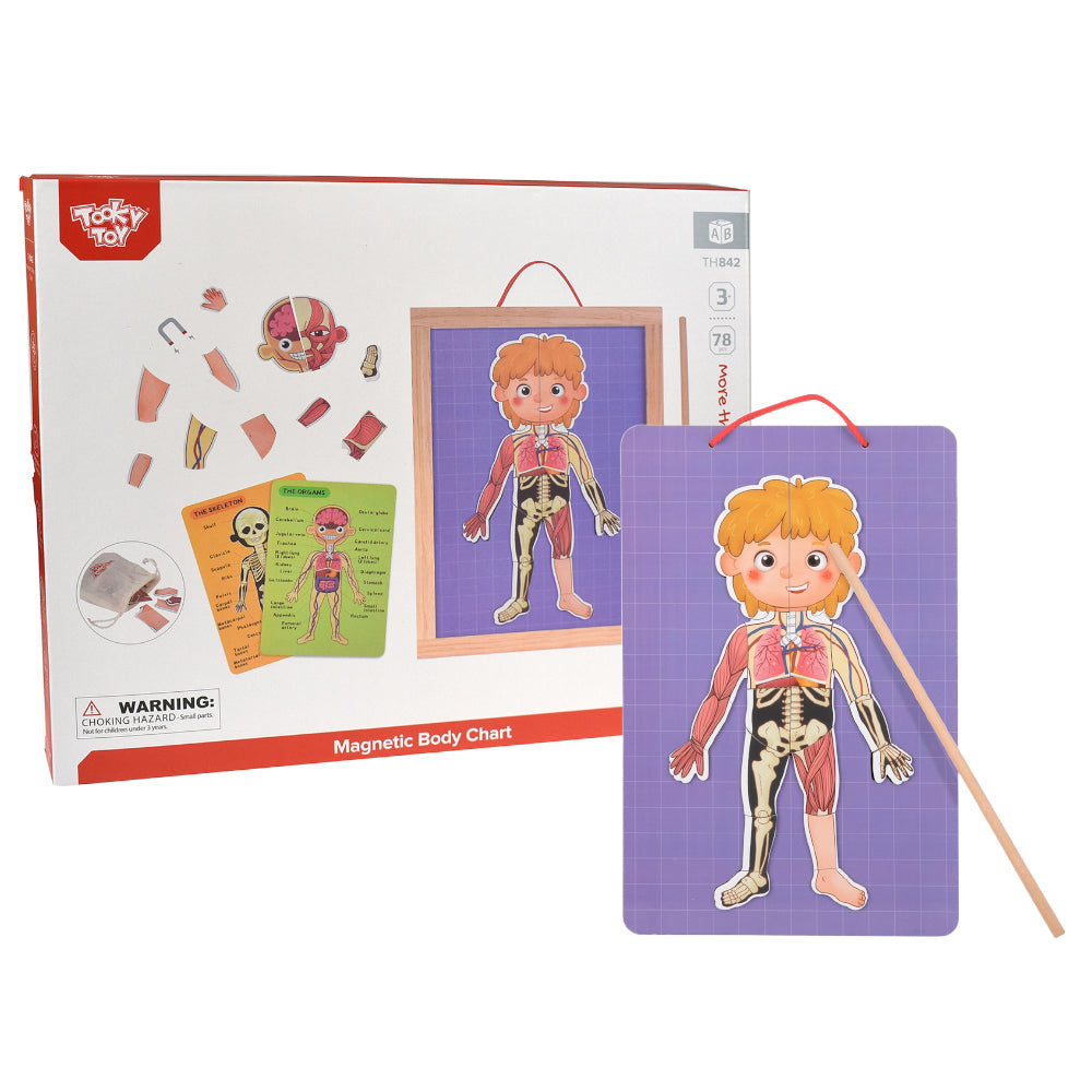 Magnetic Body Chart 78pc