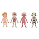 Magnetic Body Chart 78pc