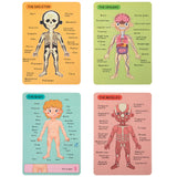 Magnetic Body Chart 78pc