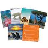 Wild About Animals Snapshots - Critical Thinking Photo Cards - iPlayiLearn.co.za
 - 2