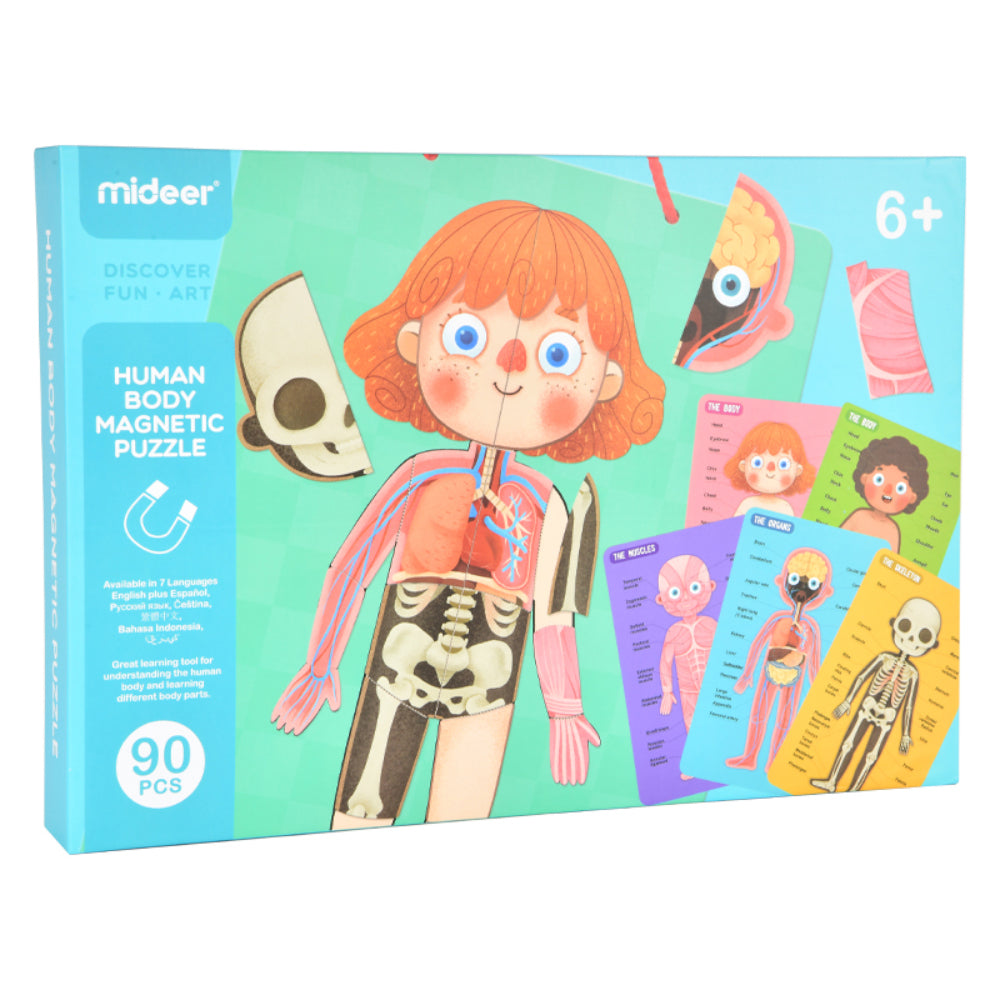 Human Body Magnetic Puzzle 90pc