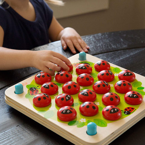 Memory Game: Ladybug