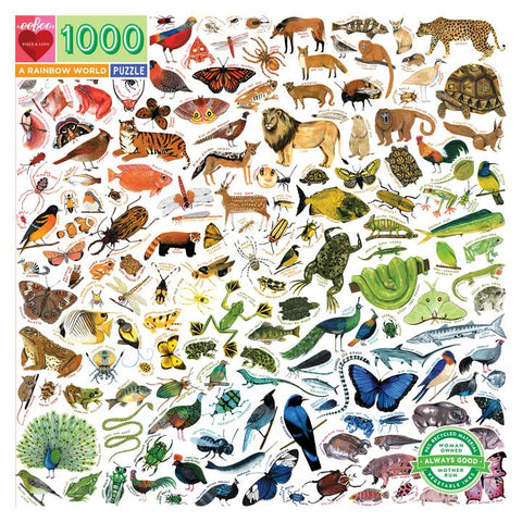 A Rainbow World Puzzle 1000pc