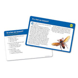 Reading Comprehension Cards Set 1 - Ages 7+ (Grade 2) - iPlayiLearn.co.za