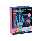 Hand Anatomy Model 23pc 16.5cm