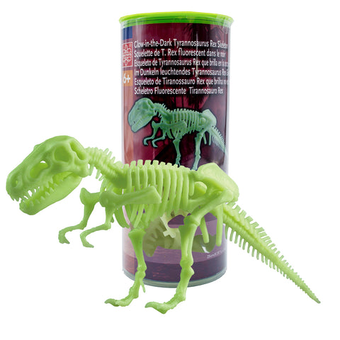 Glow-in-the-Dark Tyrannosaurus Rex Skeleton 25cm