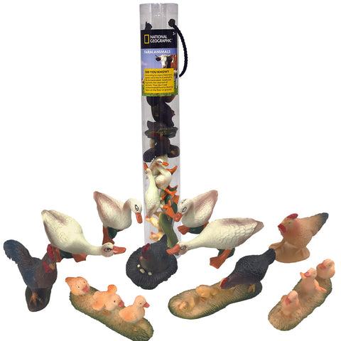 National Geographic Farm Birds, Small 5-8cm, 10pc in Tube