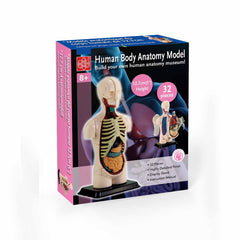 Learning Resources Anatomiemodell-Set – Herz, Gehirn, Körper & Skelett – Realistische Kunststoffmodelle Mit Ständer & Anleitung – Lehrreiches Spielzeug Ab 8 Jahren Learning Resources Anatomiemodell-Set – Herz, Gehirn, Körper & Skelett – Realistische Kunststoffmodelle Mit Ständer & Anleitung – Lehrreiches Spielzeug Ab 8 Jahren