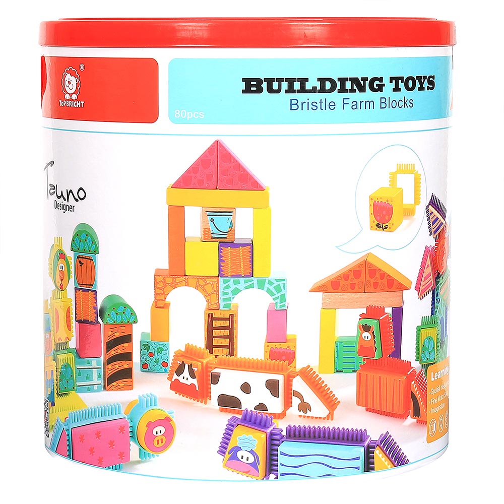 Bristle Farm Blocks 80pc PlayingandLearning .za