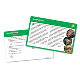 Reading Comprehension Cards Set 3 - Ages 9+ (Grade 4) - iPlayiLearn.co.za