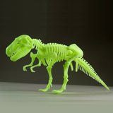 Glow-in-the-Dark Tyrannosaurus Rex Skeleton 25cm