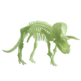 Glow-in-the-Dark Triceratops Skeleton 22cm