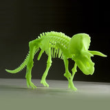 Glow-in-the-Dark Triceratops Skeleton 22cm