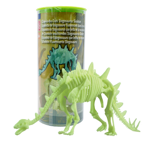 Glow-in-the-Dark Stegosaurus Skeleton 26cm