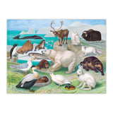 Beautiful World Puzzle: Arctic 1000pc